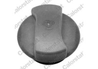 Sealing Cap, coolant tank