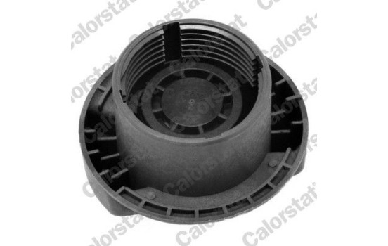 Sealing Cap, coolant tank, Image 2