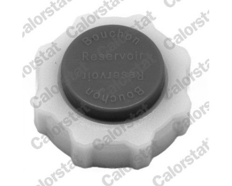 Sealing Cap, coolant tank