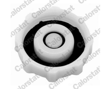 Sealing Cap, coolant tank, Image 2