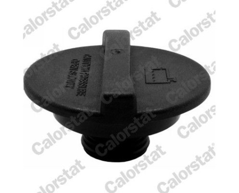 Sealing Cap, coolant tank