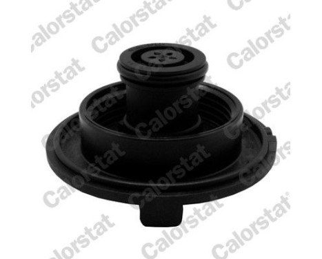 Sealing Cap, coolant tank, Image 2