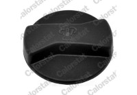 Sealing Cap, coolant tank