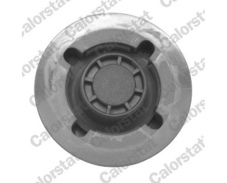 Sealing Cap, coolant tank, Image 2