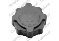Sealing Cap, coolant tank
