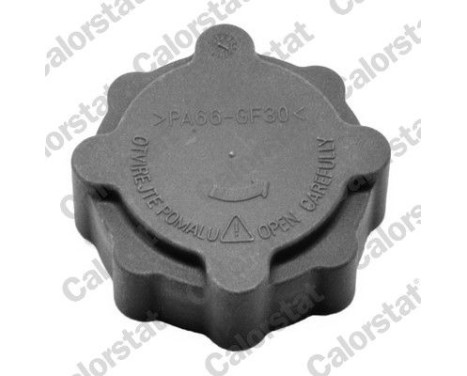 Sealing Cap, coolant tank