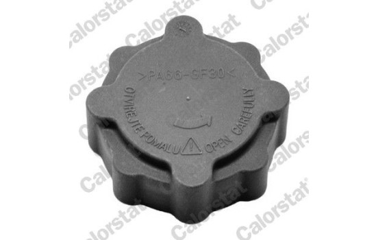 Sealing Cap, coolant tank