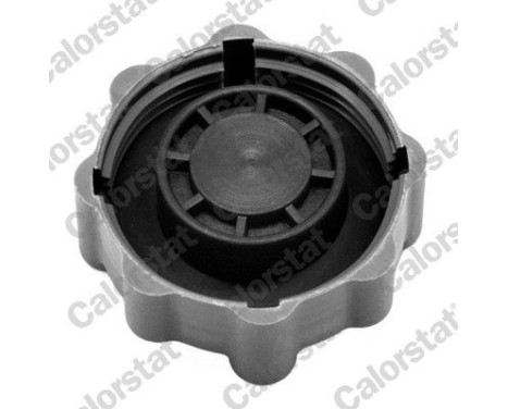Sealing Cap, coolant tank, Image 2