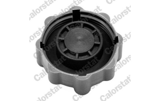 Sealing Cap, coolant tank, Image 2
