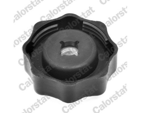 Sealing Cap, coolant tank, Image 2