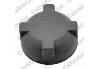 Sealing Cap, coolant tank