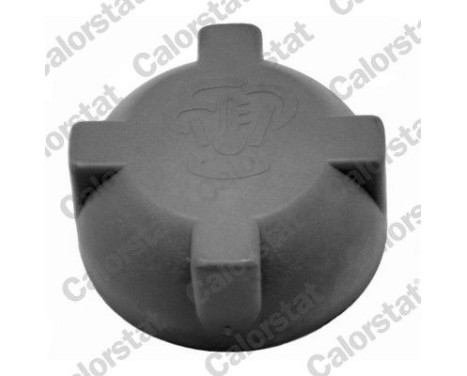 Sealing Cap, coolant tank