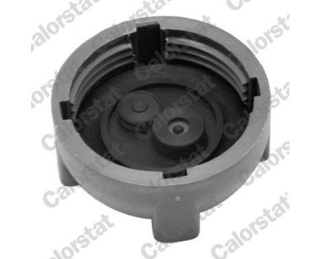 Sealing Cap, coolant tank, Image 2