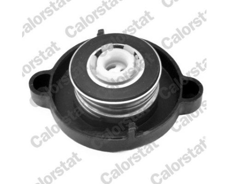 Sealing Cap, coolant tank, Image 2