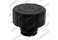 Sealing Cap, coolant tank