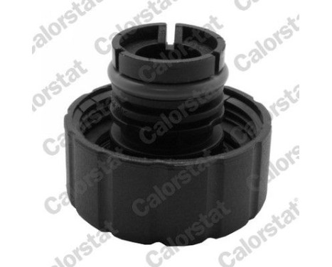 Sealing Cap, coolant tank, Image 2