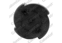 Sealing Cap, coolant tank