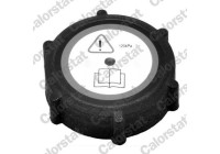 Sealing Cap, coolant tank