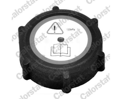 Sealing Cap, coolant tank