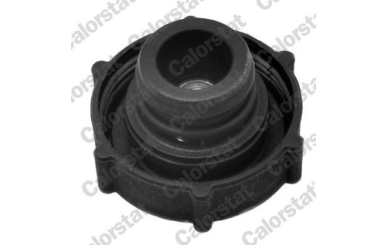 Sealing Cap, coolant tank, Image 2