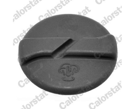 Sealing Cap, coolant tank