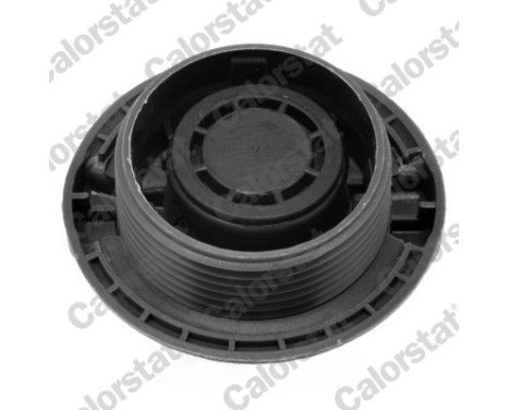 Sealing Cap, coolant tank, Image 2