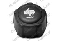 Sealing Cap, coolant tank