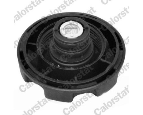 Sealing Cap, coolant tank, Image 2