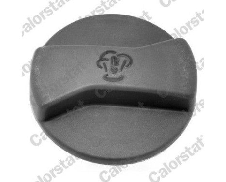 Sealing Cap, coolant tank