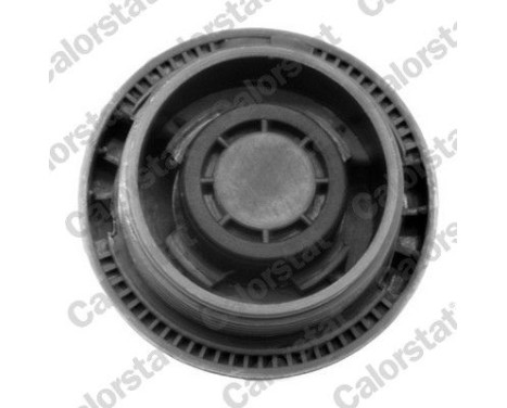 Sealing Cap, coolant tank, Image 2