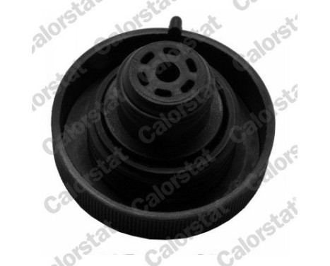 Sealing Cap, coolant tank, Image 2