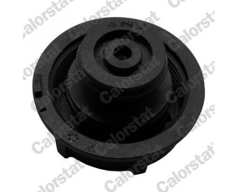 Sealing Cap, coolant tank, Image 2