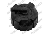 Sealing Cap, coolant tank