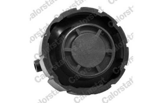 Sealing Cap, coolant tank, Image 2