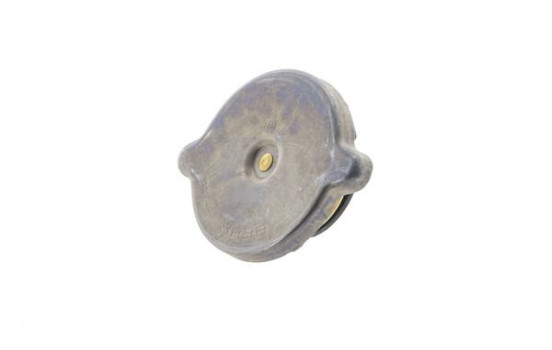 Sealing Cap, radiator BEHR *** PREMIUM LINE ***, Image 3