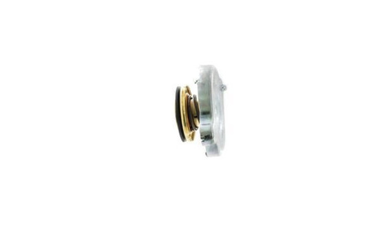 Sealing Cap, radiator BEHR *** PREMIUM LINE ***, Image 9