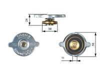 Sealing Cap, radiator RC106 Gates