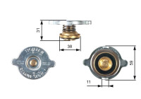 Sealing Cap, radiator RC110 Gates
