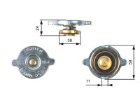 Sealing Cap, radiator RC119 Gates