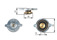 Sealing Cap, radiator RC125 Gates