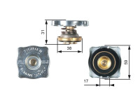 Sealing Cap, radiator RC130 Gates