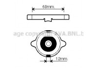 Sealing Cap, radiator