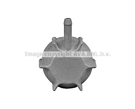 Sealing Cap, radiator