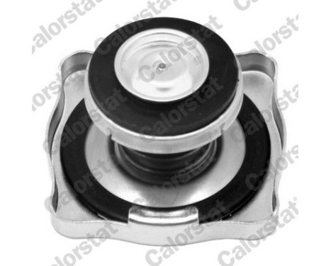 Sealing Cap, radiator, Image 2