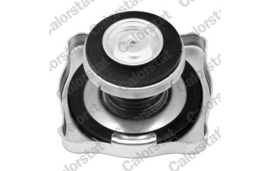 Sealing Cap, radiator, Image 2