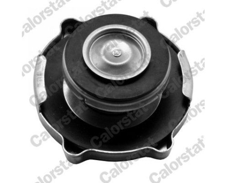 Sealing Cap, radiator, Image 2