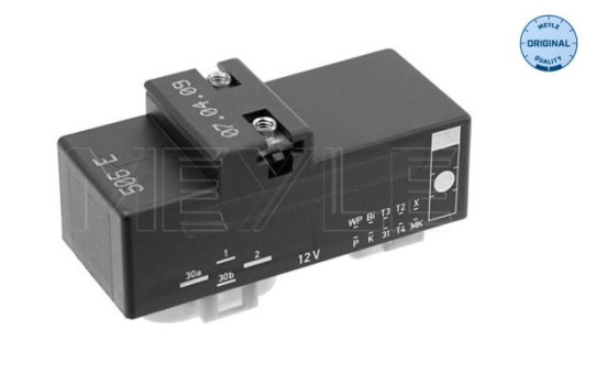 Control unit, fan (engine cooling) 100 880 0019 Meyle