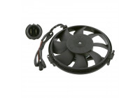 Fan, radiator 14746 FEBI