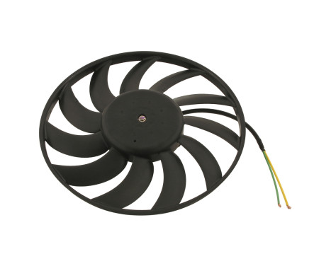 Fan, radiator 31024 FEBI