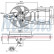 Fan, radiator 85134 Nissens, Thumbnail 7